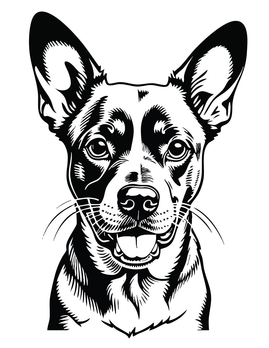 Lick, Suck, or Blow Coloring Book