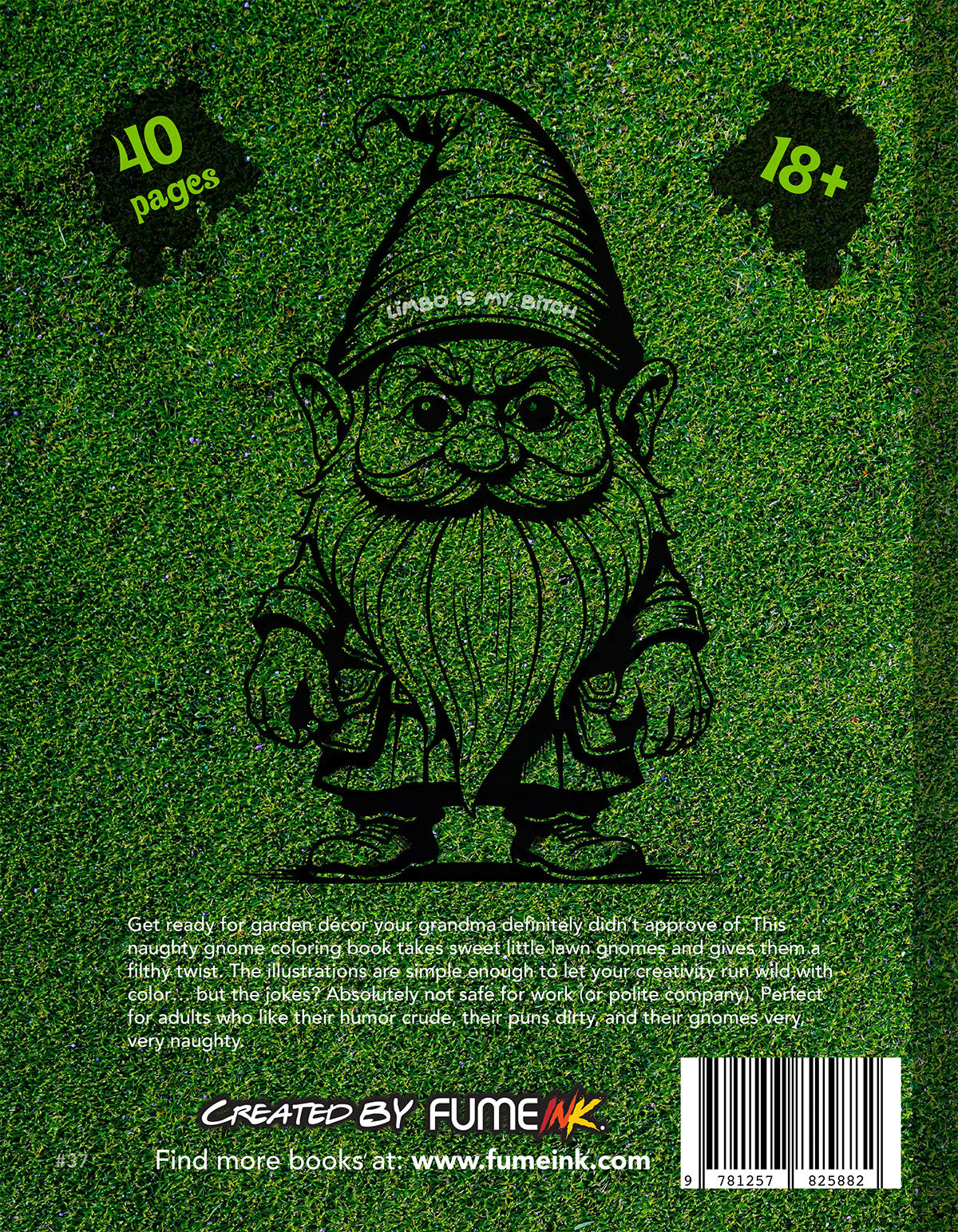 Naughty Gnomes Coloring Book