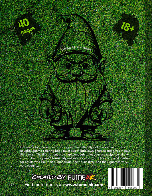 Naughty Gnomes Coloring Book