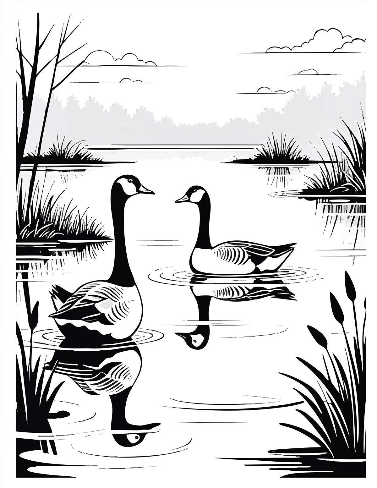 Pond Life Coloring Book