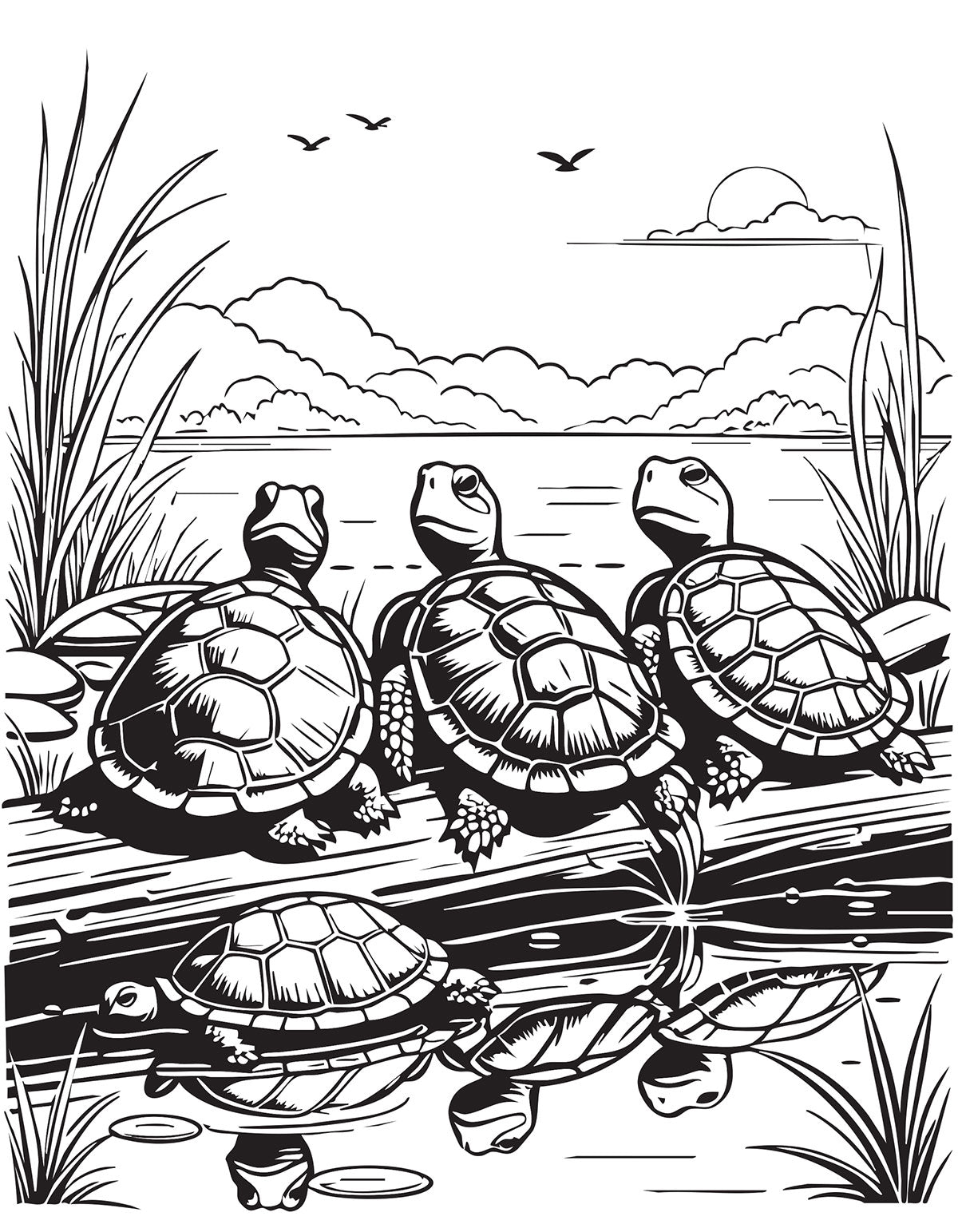 Pond Life Coloring Book