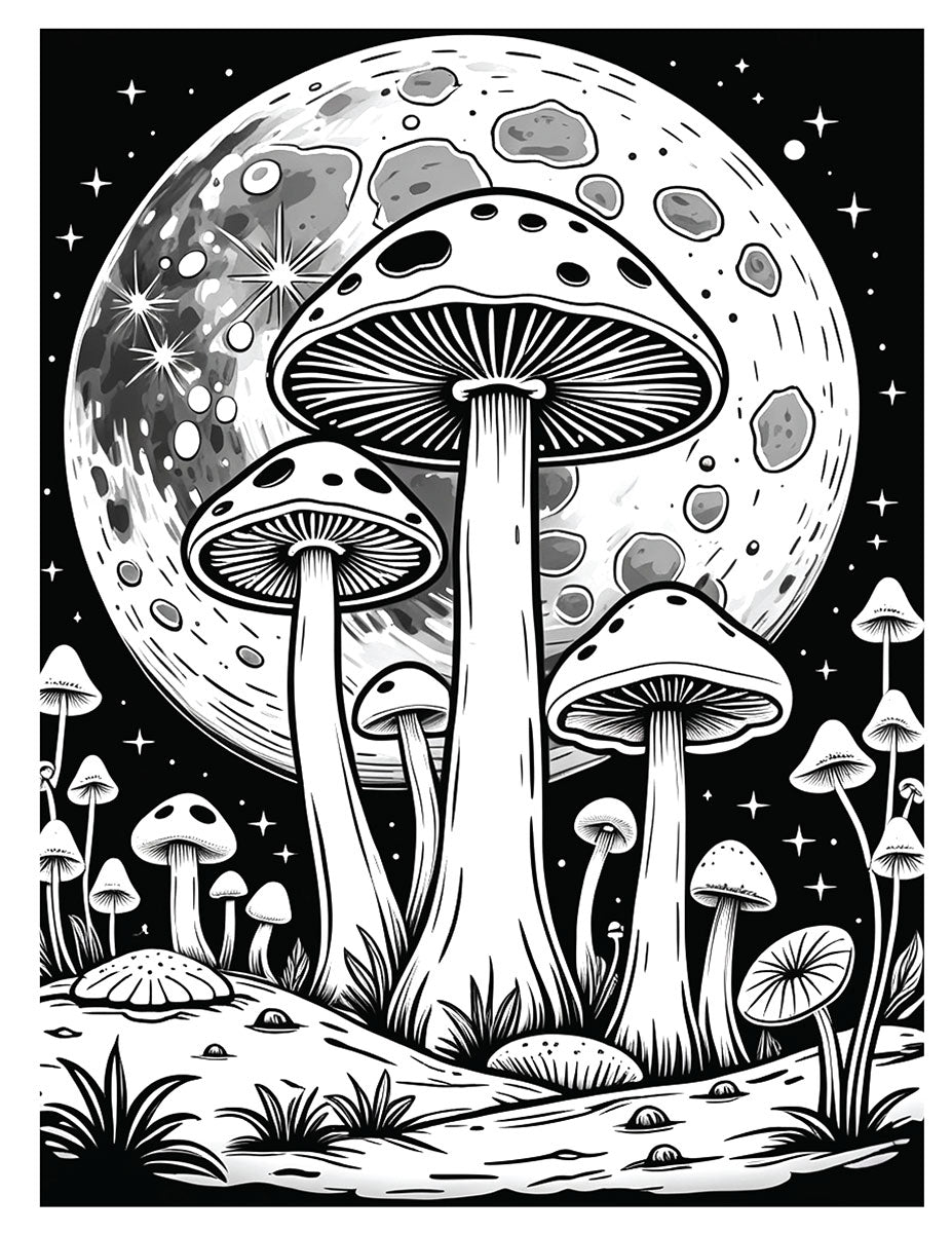 A Shroom with a View Coloring Book