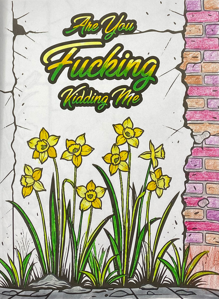 Zero Fucks Coloring Book