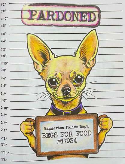 In the Dog House Coloring Book