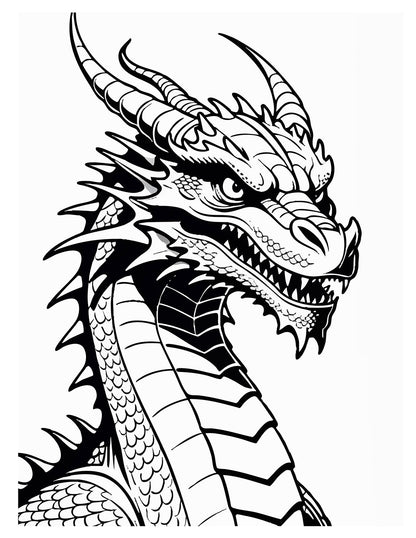 Dragons Coloring Book