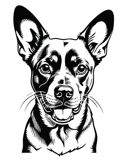 Lick, Suck, or Blow Coloring Book