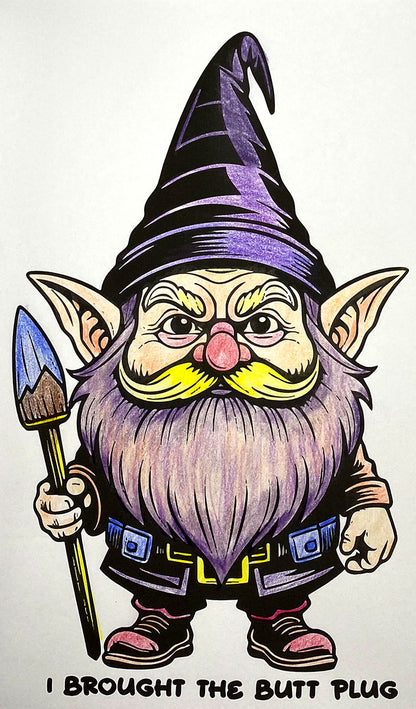 Naughty Gnomes Coloring Book