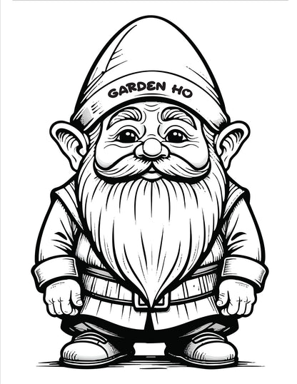 Naughty Gnomes Coloring Book