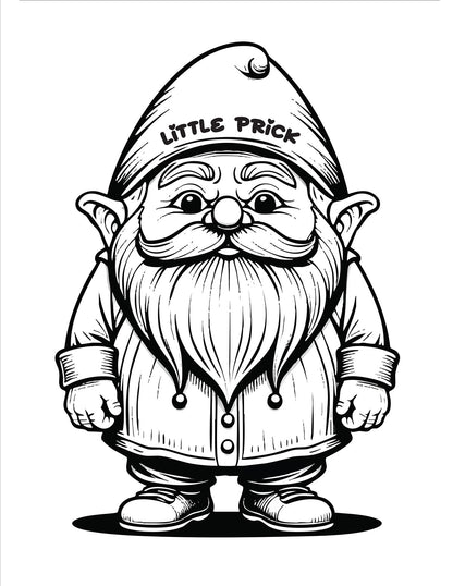 Naughty Gnomes Coloring Book