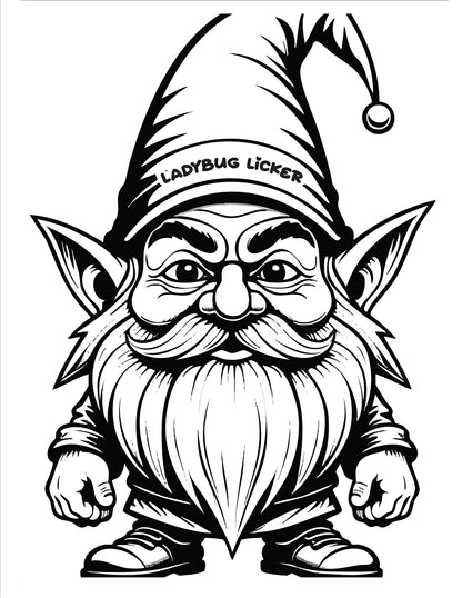 Naughty Gnomes Coloring Book