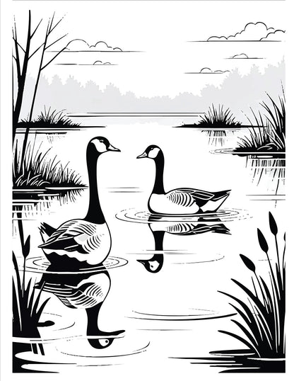 Pond Life Coloring Book