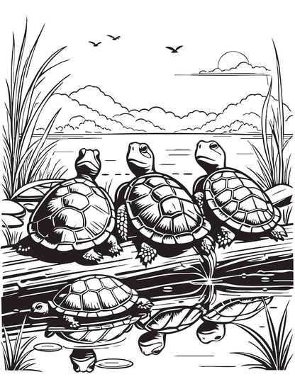 Pond Life Coloring Book