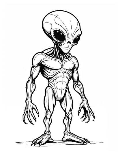 Project Blü Book Coloring Book