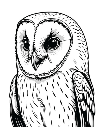 Wise Guys Coloring Book