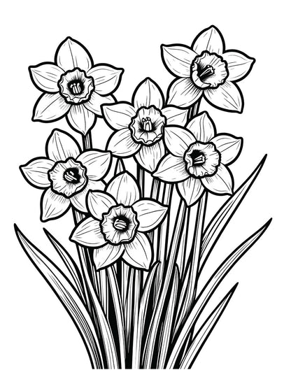 Spring Has Sprung Coloring Book