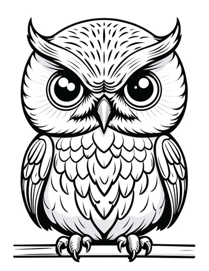 Wise Guys Coloring Book