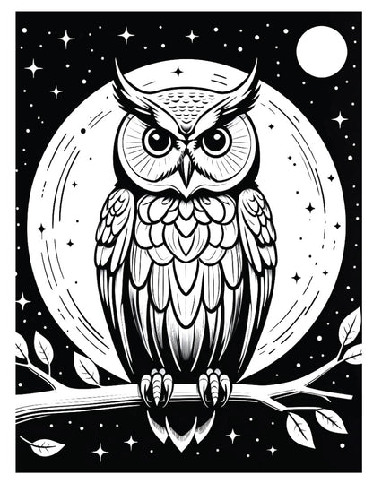 Wise Guys Coloring Book