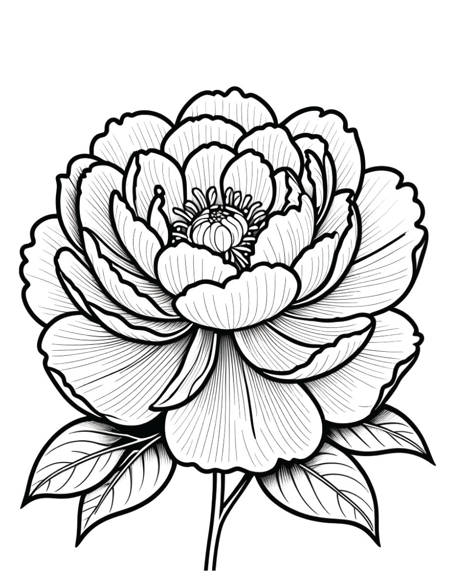 Mom Deserves the World Coloring Book
