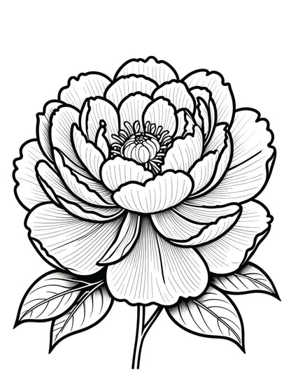 Mom Deserves the World Coloring Book