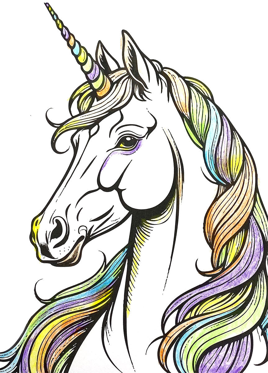 Unicorns Coloring Book