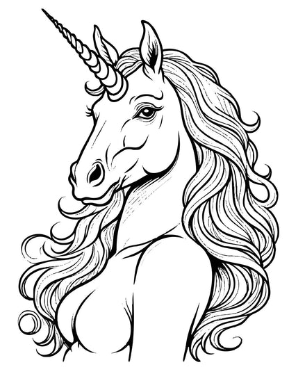 Unicorns Coloring Book