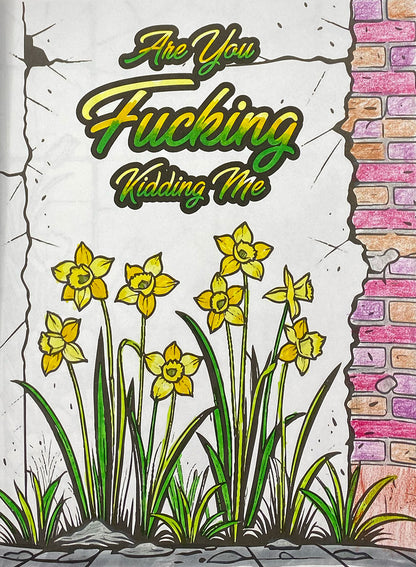 Zero Fucks Coloring Book